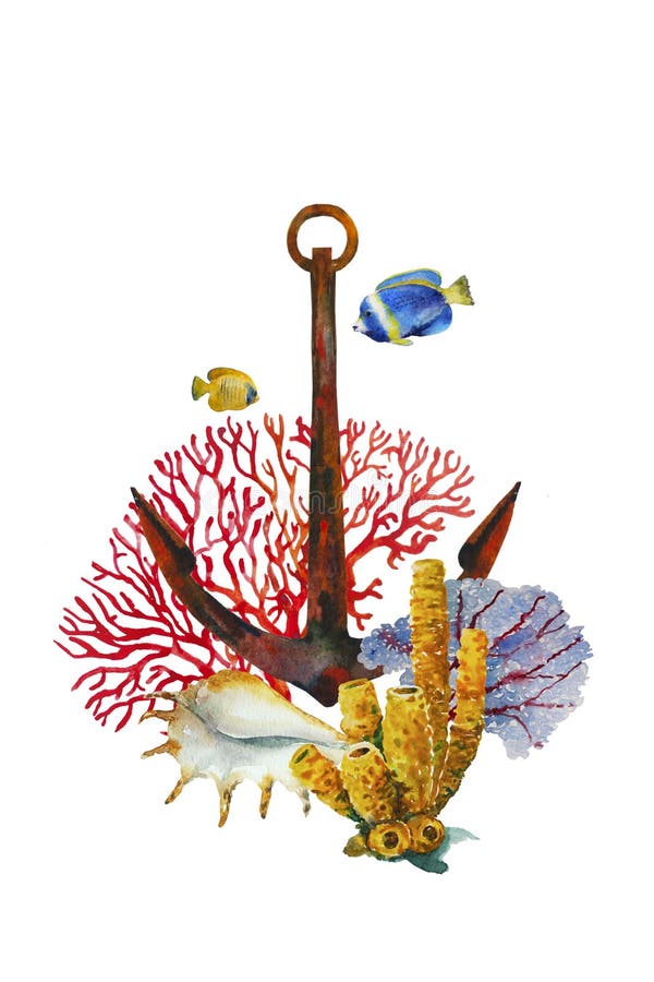 Watercolor anchor with sea fan corals red and blue, and tube sponge coral , big shell and some tropic fishes. Vertical composition