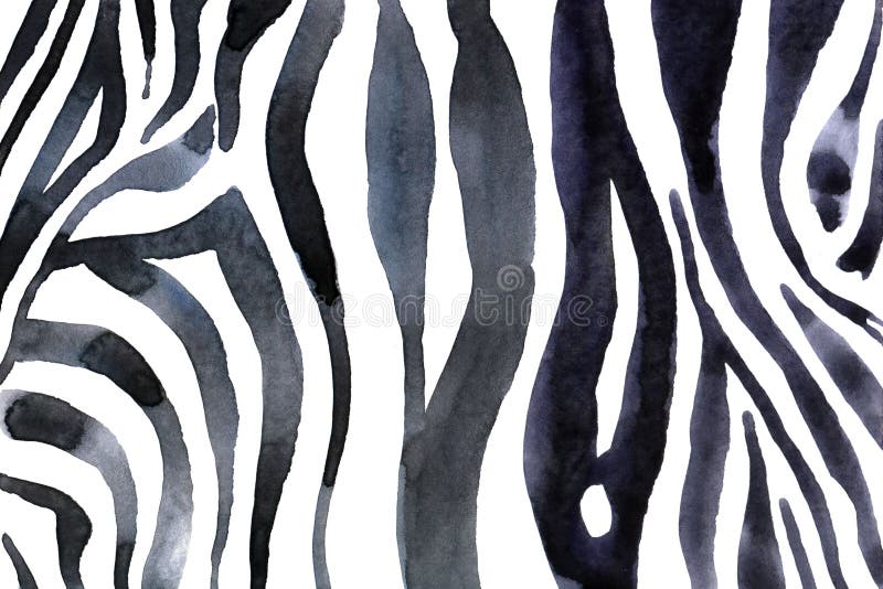 Watercolor animal background with white-black zebra`s print