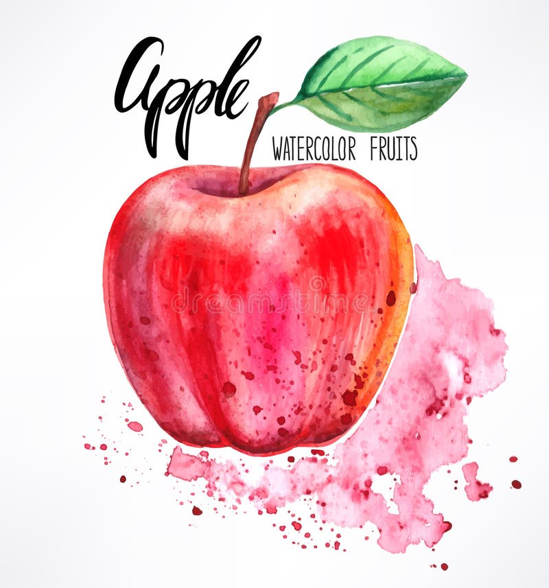 Watercolor apples stock illustration. Illustration of still 31753202