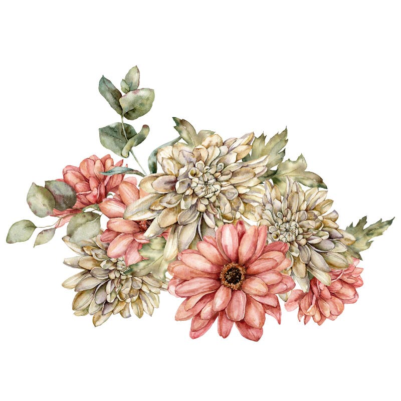 Watercolor autumn bouquet of dahlia, aster and leaves. Hand painted meadow flowers isolated on white background. Floral