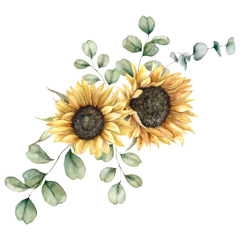 Watercolor autumn bouquet with sunflowers and eucalyptus branches. Hand painted rustic card isolated on white background. Floral illustration for design, print, fabric or background