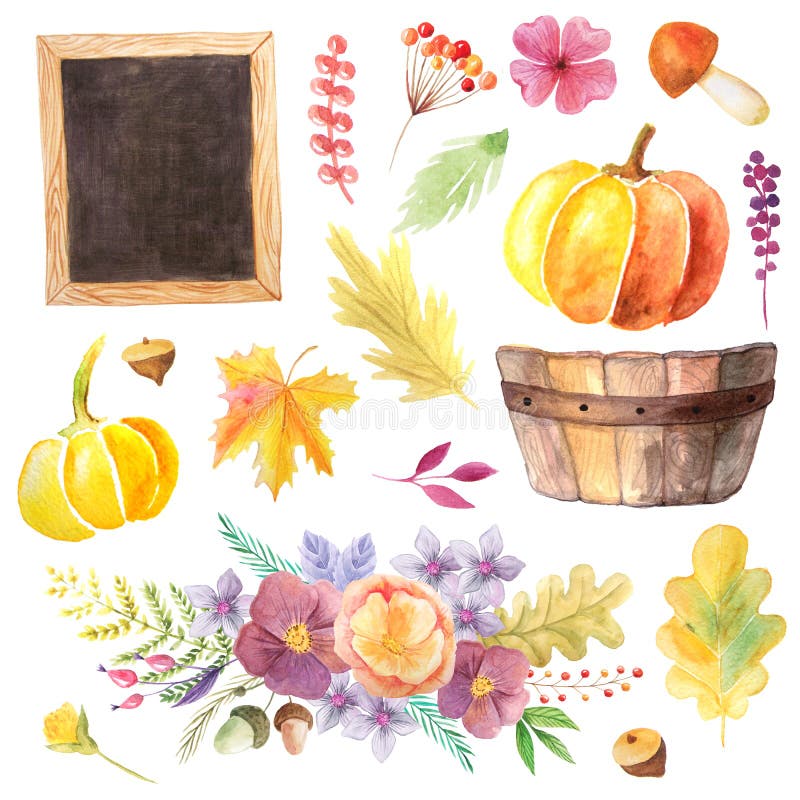 Watercolor autumn leaves, pumpkins and berries