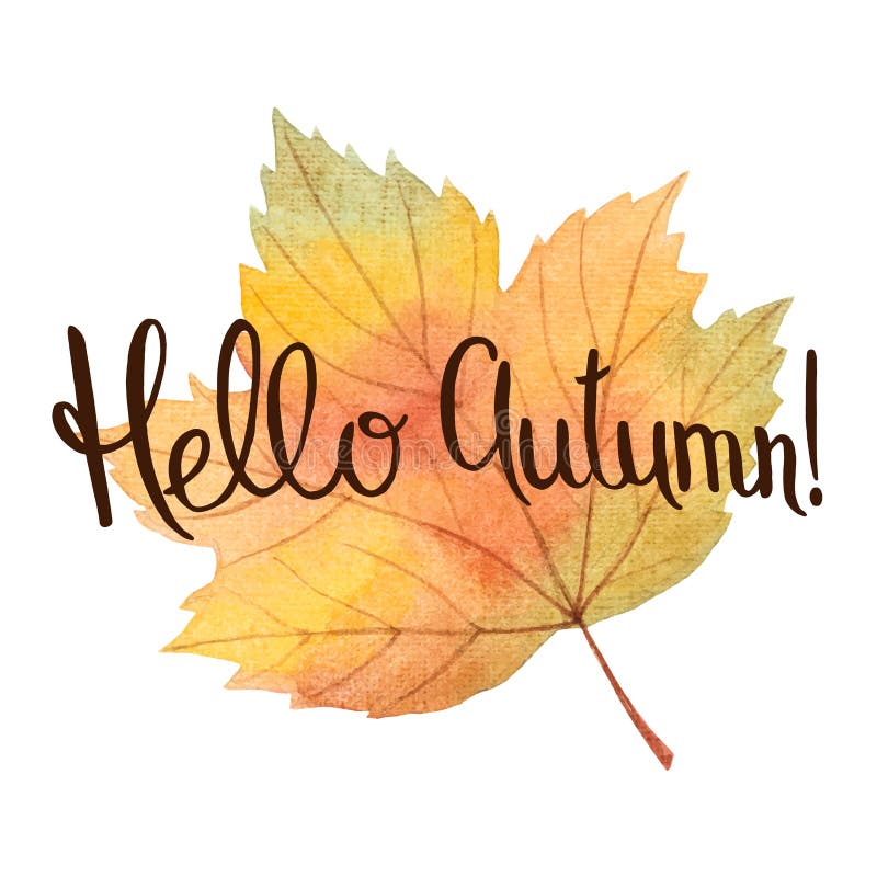 Summer Things With Stylish Lettering Collect Beautiful Moments. Stock