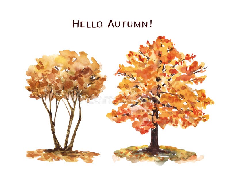 Watercolor autumn tree illustration. Hand painted fall trees with colorful foliage. Nature landscape clipart