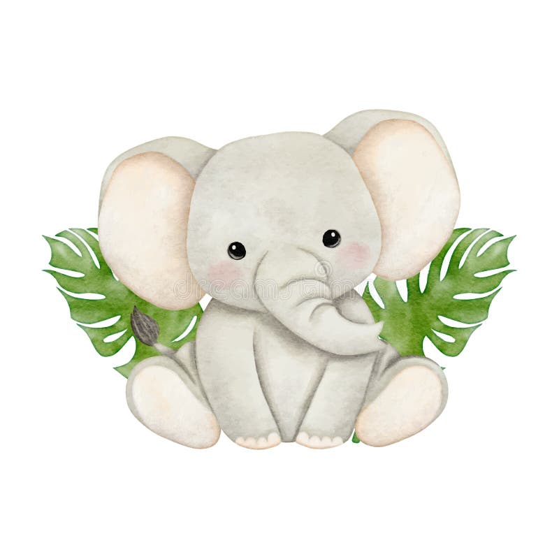 Baby Safari Elephants Baby Safari Elephants