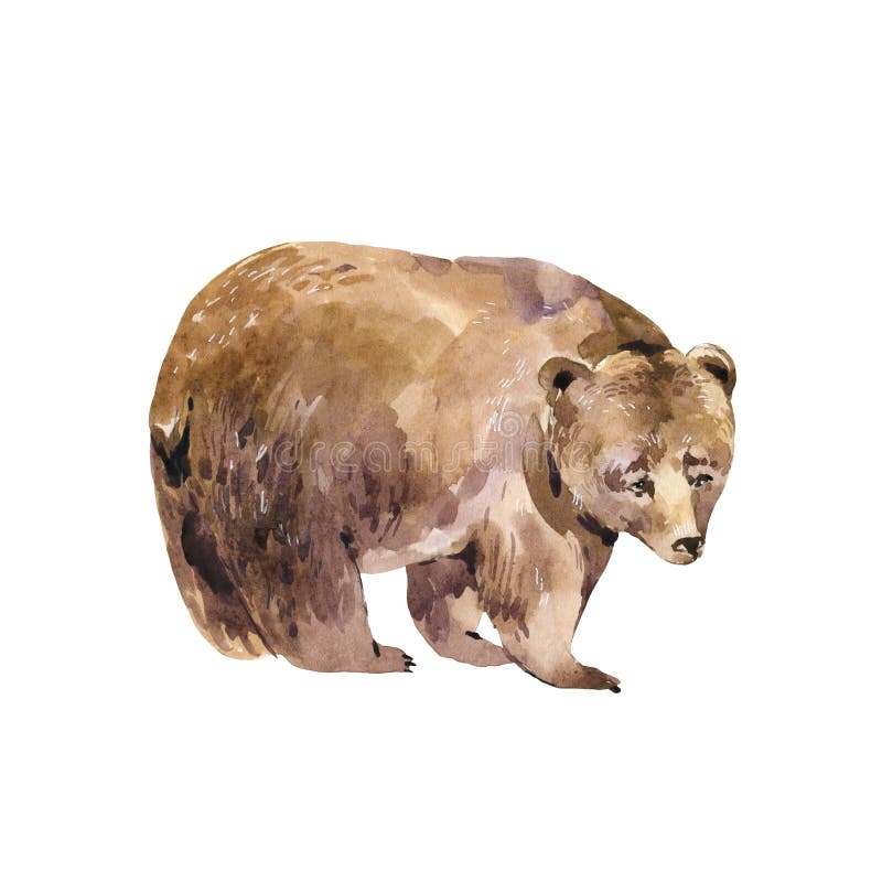 Illustrated Animal flowers wildlife bear painting Woodland Forest Water-colour Wall Art PRINTABLE  Bear Art Deer Bear Print Snow