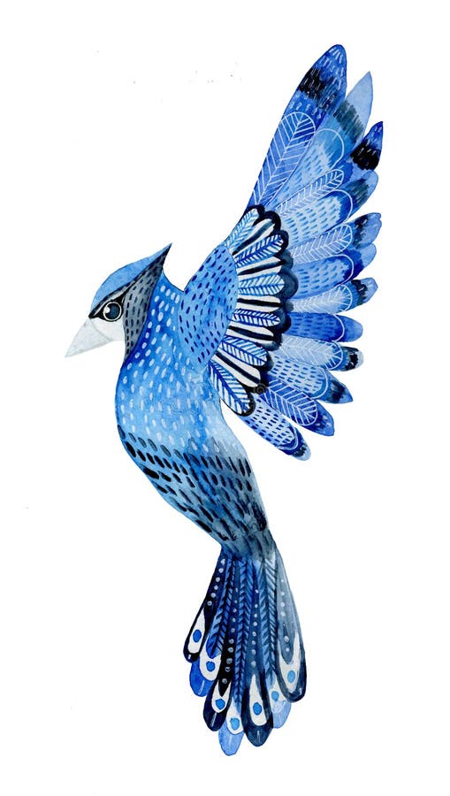 Watercolor Bird Blue Jay Flying Hand Drawn Illustration Isolated On White Background Hand Painted Bluejay Stock Illustration Illustration Of Birdwatching Aquarelly