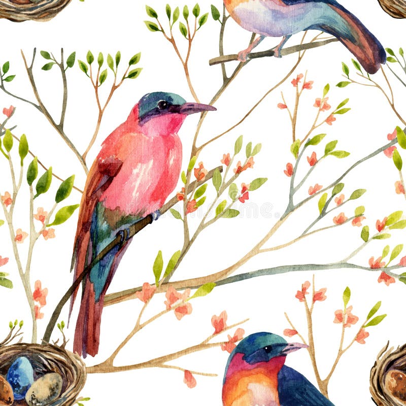 Watercolor birds on the blossoming trees vector illustration Watercolor birds on the blossoming trees vector illustration