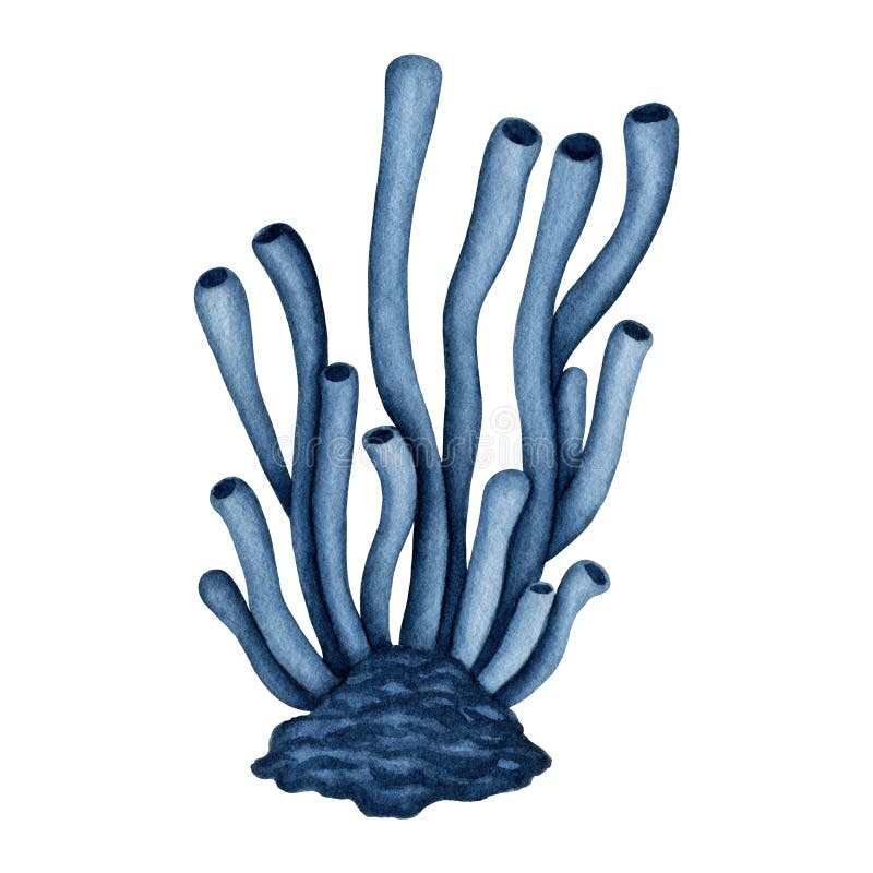 Watercolor Blue Polyp Corals Tube. Hand Drawn Underwater Coral Reef ...