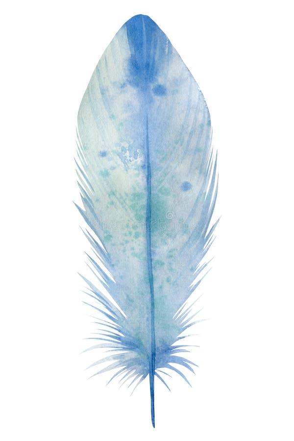 Watercolor boho illustration, Blue feather on white isolated background, print royalty free stock photos