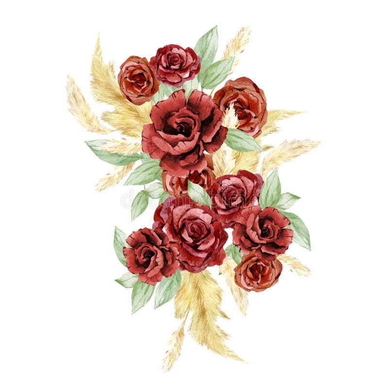 Watercolor boho red flowers bouquets . Hand drawn pampas grass and burgundy rose, peonies. Bohemian rich floral, branches, leaves, royalty free illustration Watercolor boho red flowers bouquets . Hand drawn pampas grass and burgundy rose, peonies. Bohemian rich floral, branches, leaves, royalty free illustration