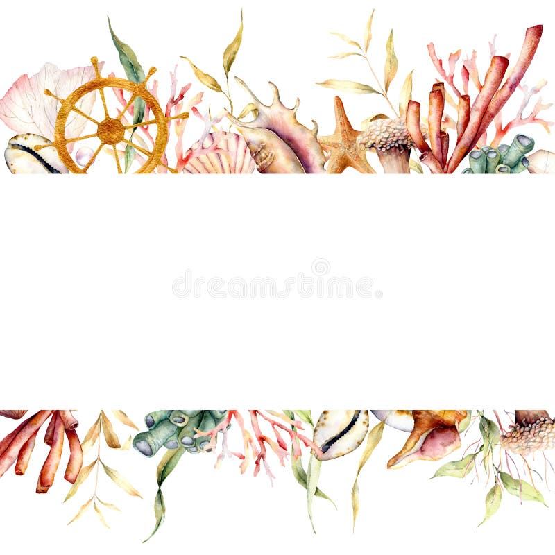 Watercolor border with coral reef plants and ships wheel. Hand painted seaweeds, shells and starfish isolated on white