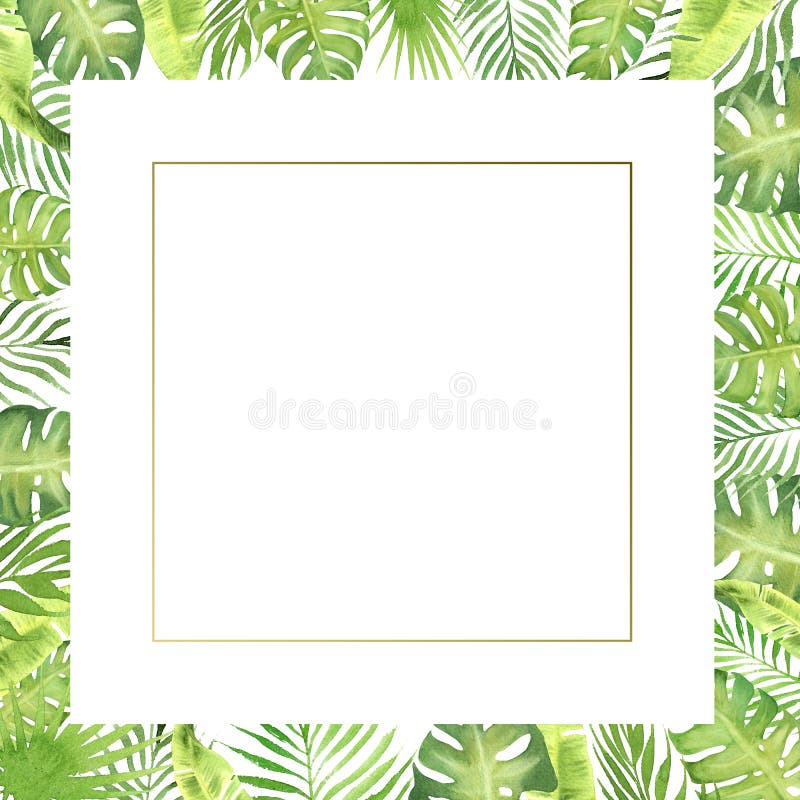 Watercolor Border Frame Green Tropical Leaves. Monstera, Palm Tree ...