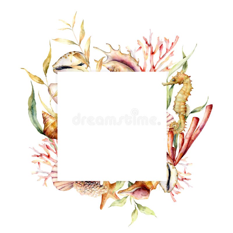 Watercolor border with seahorse and coral reef plants. Hand painted seaweeds, shells and starfish isolated on white