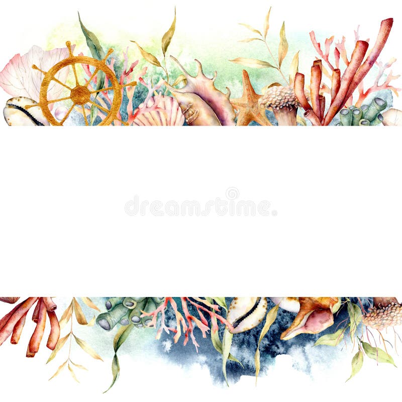 Watercolor border with ships wheel and coral reef plants. Hand painted seaweeds, shells and starfish isolated on white