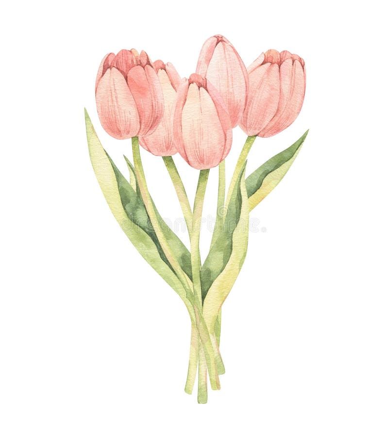 Paint by Number Style Tulips Print Greeting Card