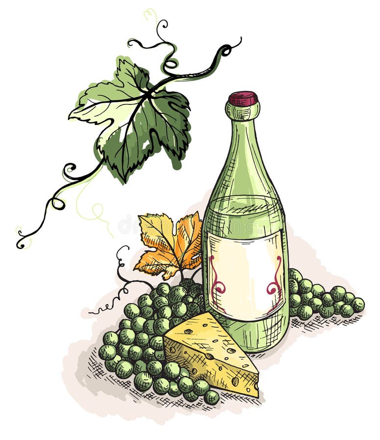 Watercolor bottle of wine, grapes and cheese isolated on white