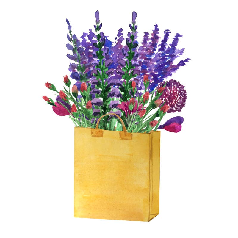 Watercolor bouquet of field fragrant flowers - lavender, allium, herbs vector illustration Watercolor bouquet of field fragrant flowers - lavender, allium, herbs vector illustration