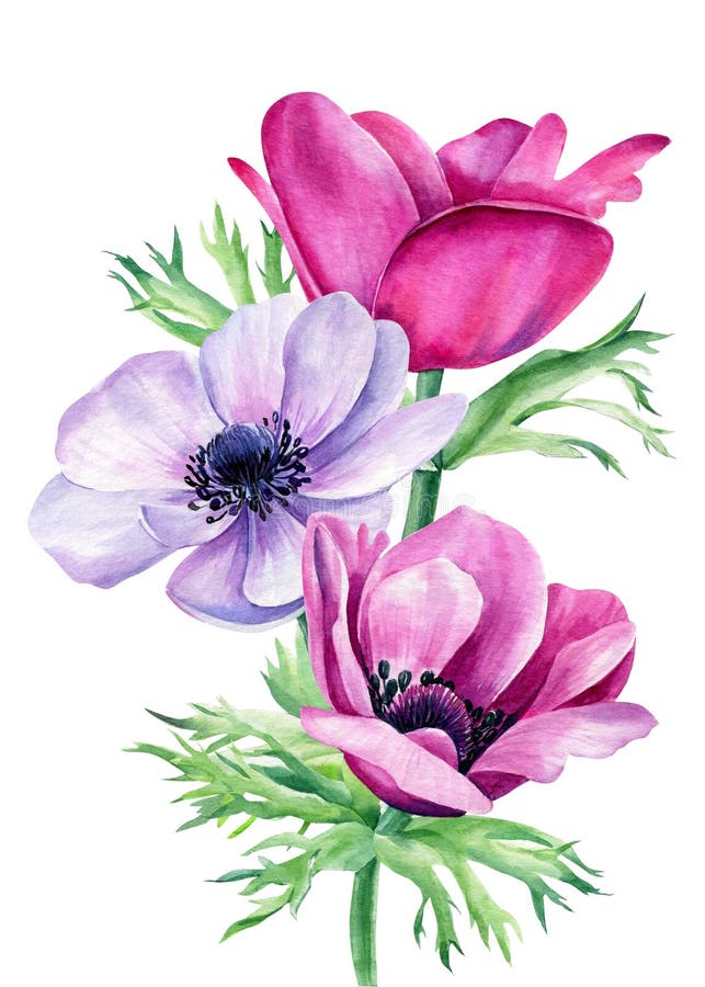 summer watercolor element collection - Stock Illustration [79264146] - PIXTA