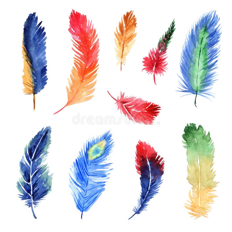 Feathers isolated elements set. Bundle of different types of colorful  bright bird feathers from wings. Falling multicolored plumage signs.  Creator kit for vector illustration in flat cartoon design 4491006 Vector  Art at