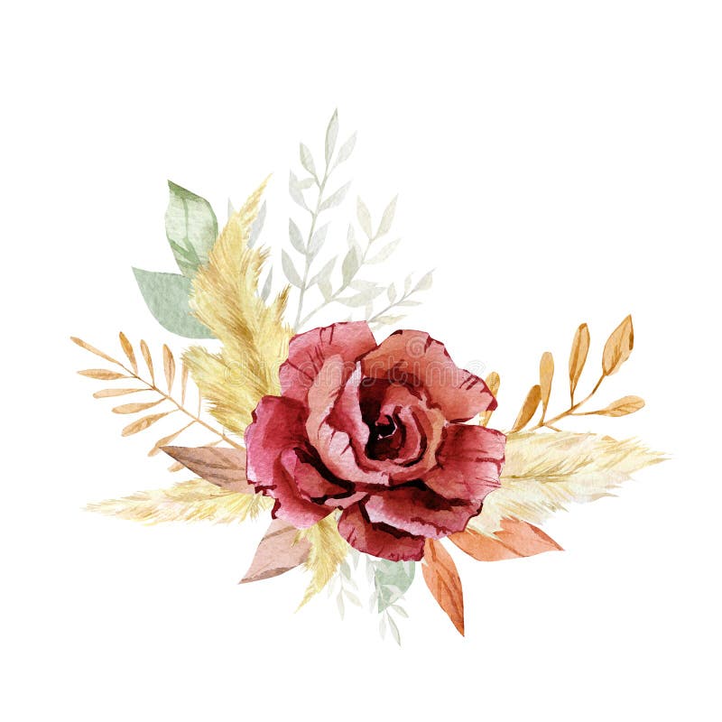 Watercolor Burgundy flower bouquet. Fall autumn floral illustration. Boho floral red rose wedding design. Modern pampas grass vector illustration Watercolor Burgundy flower bouquet. Fall autumn floral illustration. Boho floral red rose wedding design. Modern pampas grass vector illustration