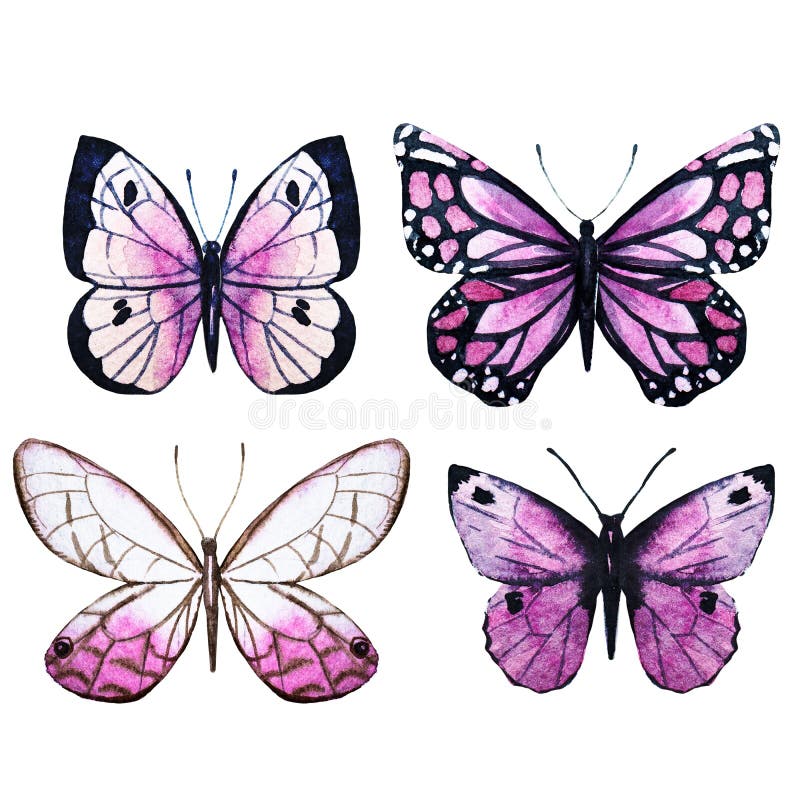 Làm mới tâm hồn với những bức tranh tô màu về những chú bướm tinh tế, tuyệt đẹp và sống động. Khám phá thêm với stock illustration của chúng tôi!