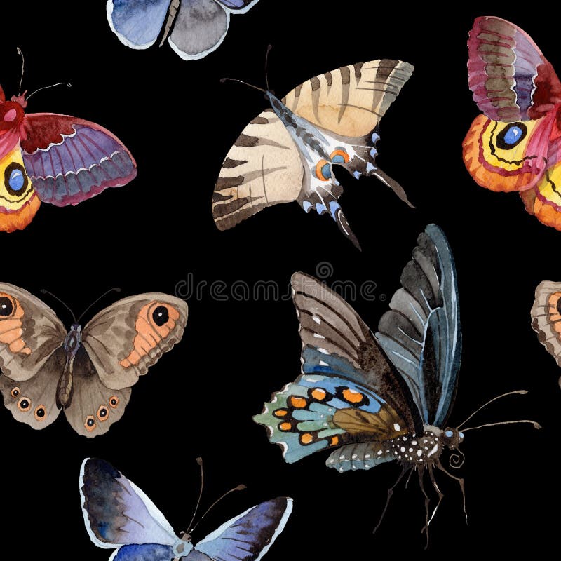 Watercolor butterfly tender insect, intresting moth, isolated wing illustration royalty free illustration Watercolor butterfly tender insect, intresting moth, isolated wing illustration royalty free illustration