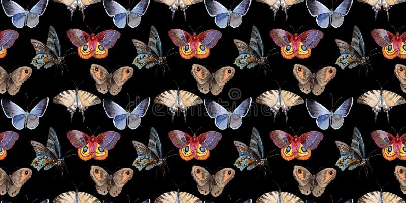 Watercolor butterfly tender insect, intresting moth, isolated wing illustration royalty free stock image Watercolor butterfly tender insect, intresting moth, isolated wing illustration royalty free stock image