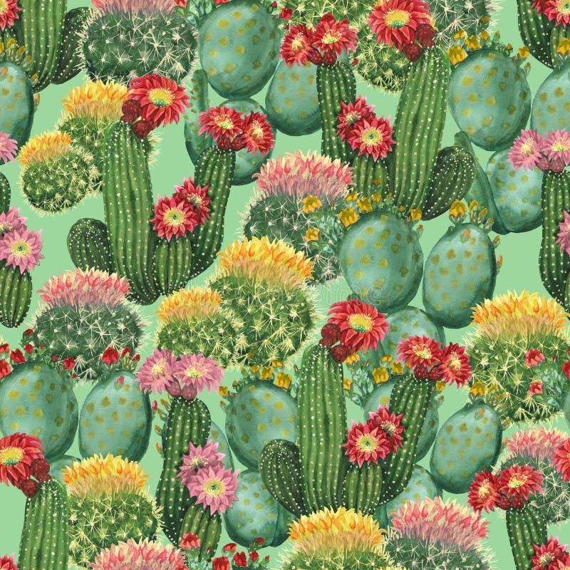 Watercolor Cactus Background Stock Illustration Illustration of