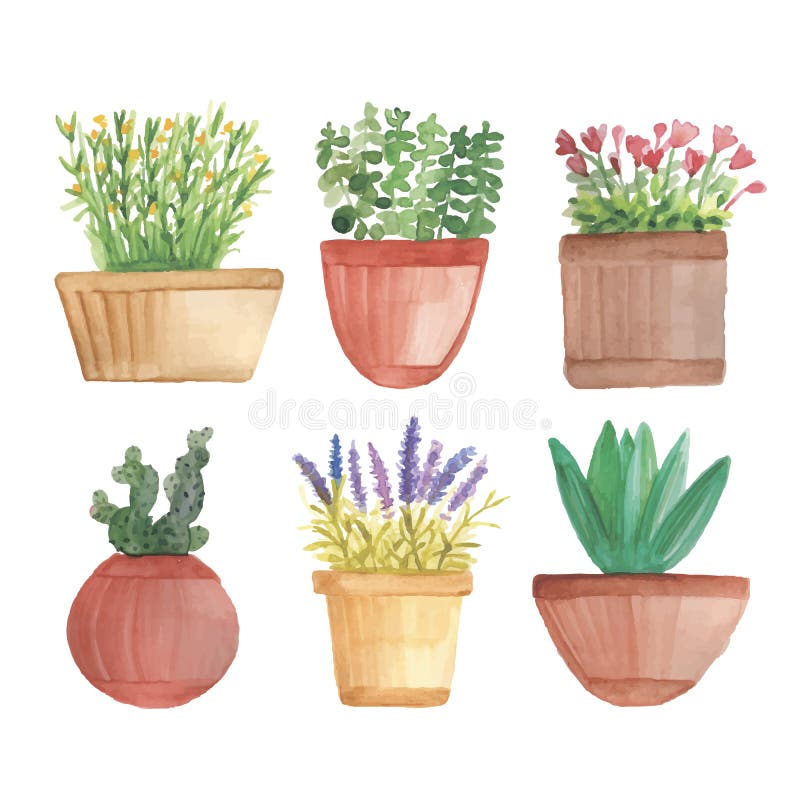 Watercolor cactus in pots on shelf stock illustration Watercolor cactus in pots on shelf stock illustration