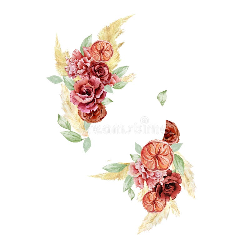 Watercolor card burgundy flowers and pampas grass. Hand drawn red, wine, rich rose, bohemian dried floral vector illustration Watercolor card burgundy flowers and pampas grass. Hand drawn red, wine, rich rose, bohemian dried floral vector illustration