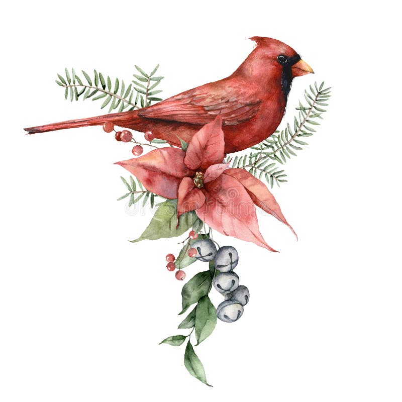 Watercolor Christmas bouquet with cardinal bird, red bow, bells and pine needle. Hand painted holiday jingle bell isolated on white background. Illustration for design, print, fabric or background