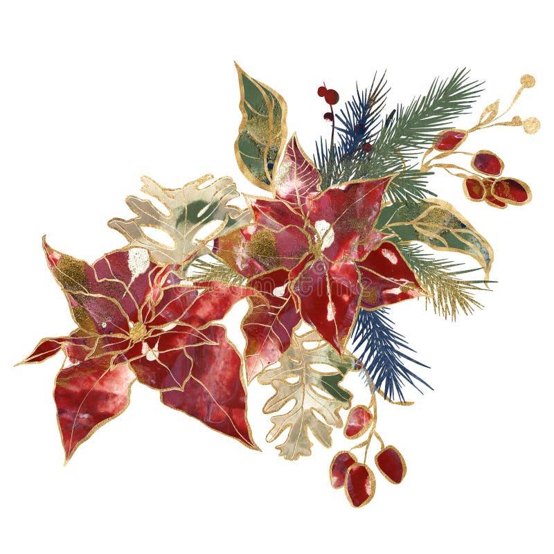 Watercolor Christmas bouquet of gold contour poinsettia, berries and blue fir branches. Hand painted holiday card of flowers isolated on white background. Illustration for design, print or background