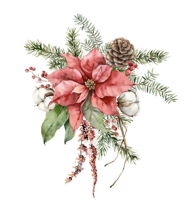 Watercolor Christmas bouquet with poinsettia, pine cone, cotton and fir branches. Hand painted holiday card with flowers isolated on white background. Illustration for design, print or background