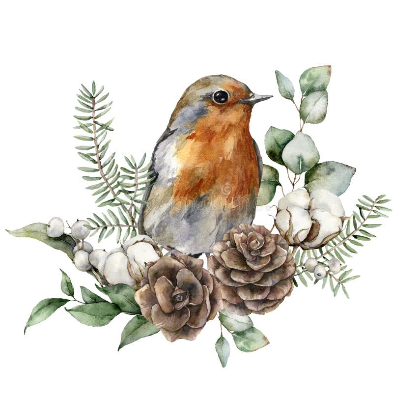 Watercolor Christmas bouquet with robin redbreast, cotton and fir branches. Hand painted holiday card with flowers and leaves isolated on white background. Illustration for design, print, background