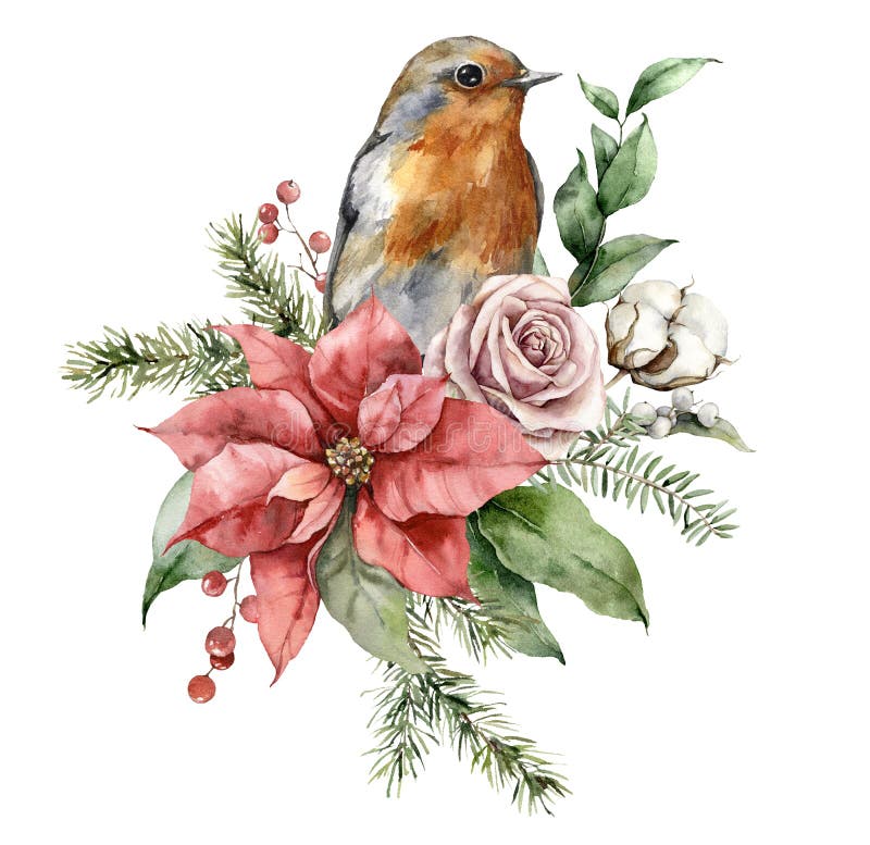 Watercolor Christmas bouquet with robin redbreast, poinsettia, roses and fir branches. Hand painted holiday card with flowers isolated on white background. Illustration for design, print, background