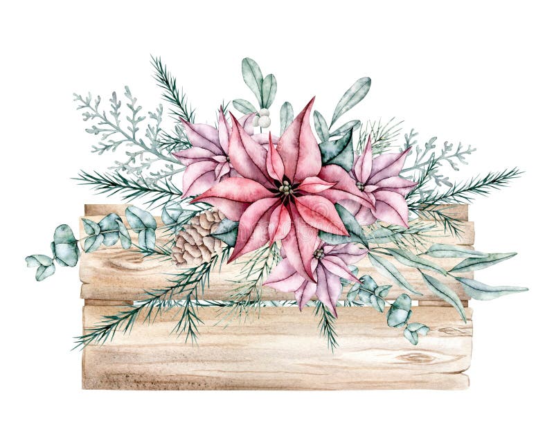 Watercolor Christmas bouquets in wooden box with poinsettia, spruce, pine cone and eucalyptus. Hand painted Isolated holiday illustration for design, invitations, cards.