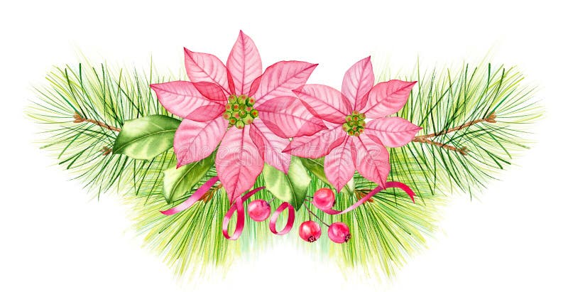 Watercolor Christmas composition. Transparent poinsettia flowers, holly berries, pine tree branches. Hand painted illustration for winter holiday season, greeting cards, banners, calendars.