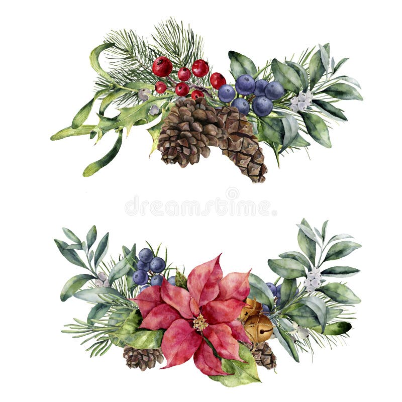 Watercolor Christmas floral bouquet. Hand painted poinsettia, snowberry branch, berries and pine cone isolated on white stock illustration Watercolor Christmas floral bouquet. Hand painted poinsettia, snowberry branch, berries and pine cone isolated on white stock illustration
