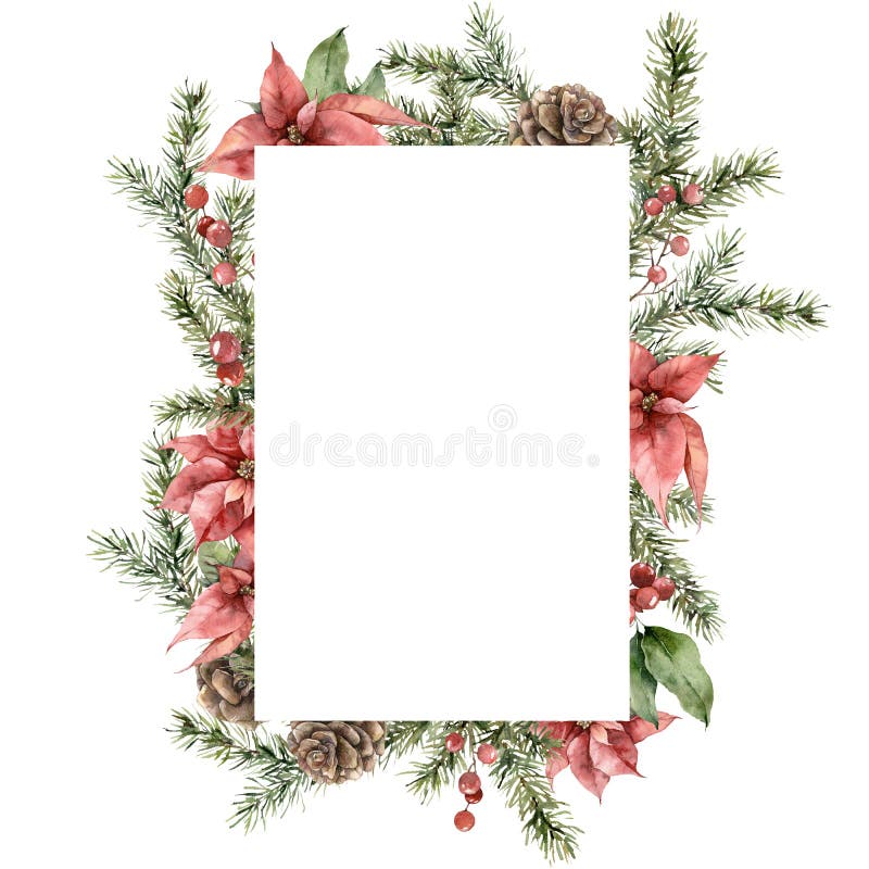 Watercolor Christmas frame of poinsettia, spruce branches and pine cones. Hand painted holiday card of flowers and plants isolated on white background. Illustration for design, print, background