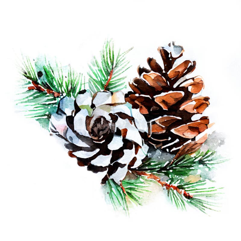 Watercolor Christmas Hand-drawn Illustration. Winter Pine Branch with ...