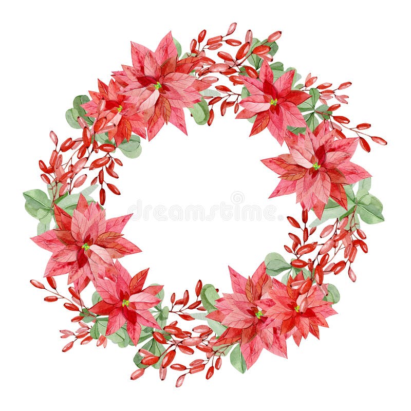 Watercolor Christmas wreah with poinsettia, red berries. Winter greenery frame for greeting card stock illustration Watercolor Christmas wreah with poinsettia, red berries. Winter greenery frame for greeting card stock illustration