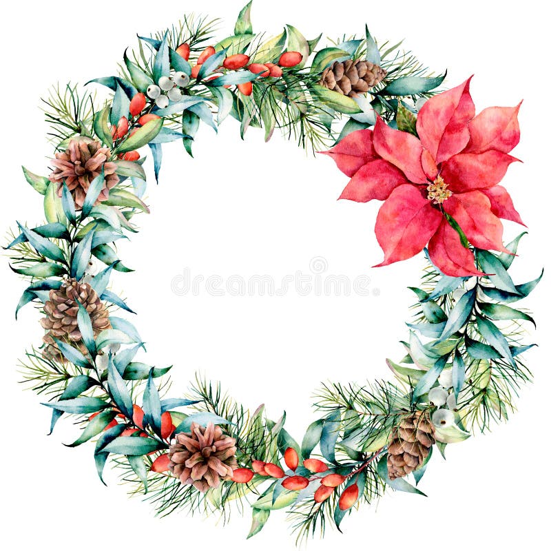 Watercolor Christmas wreath with eucalyptus and poinsettia. Hand painted fir border with cones, berries, eucalyptus