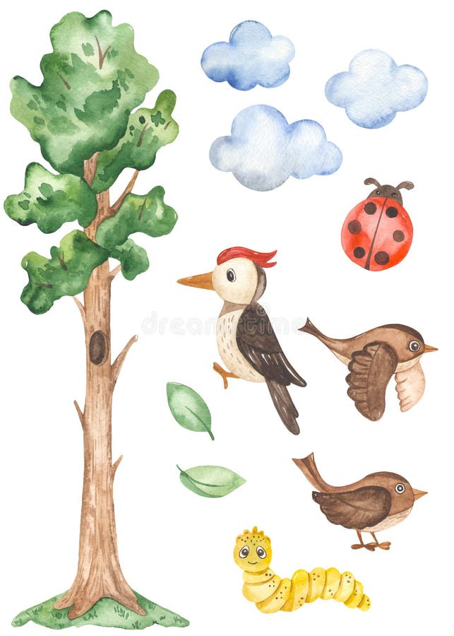 Watercolor clipart with a tall tree, woodpecker, sparrow, clouds, ladybug, caterpillar, leaves to create a children`s stadiometer