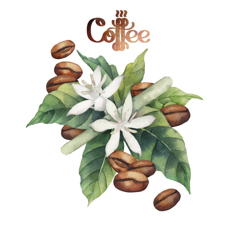 Watercolor coffee vignette stock illustration Watercolor coffee vignette stock illustration