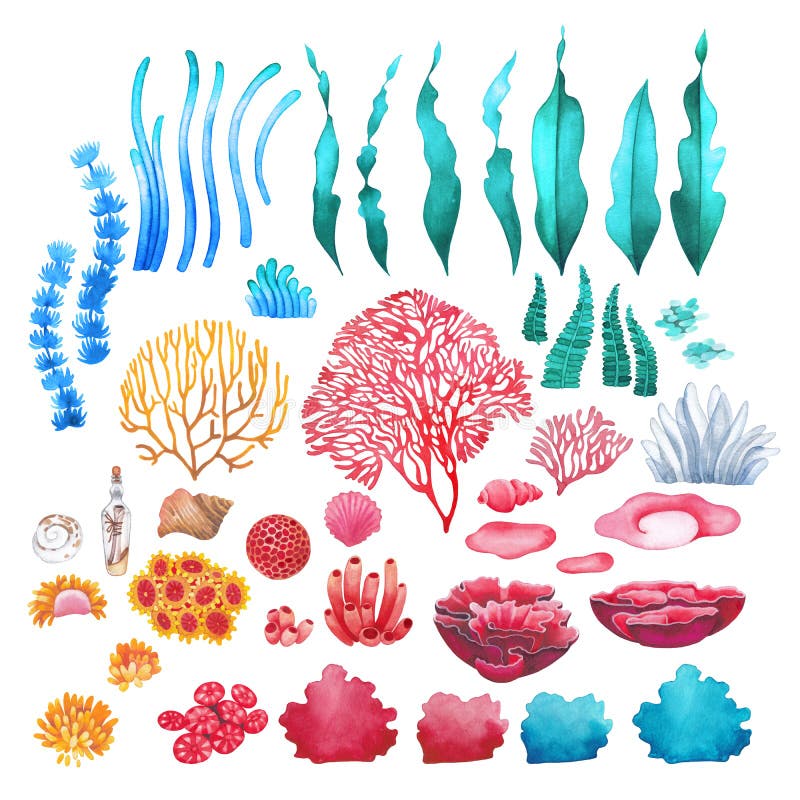 Watercolor collection of sea weeds, corals and ocean plants