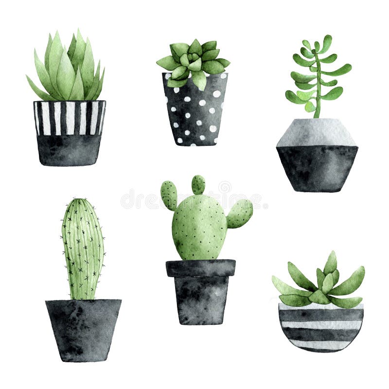 Watercolor Collection with Succulents and Cactus Stock Illustration