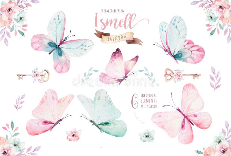 Watercolor colorful butterflies, isolated on white background. blue, yellow, pink and red butterfly illustration.