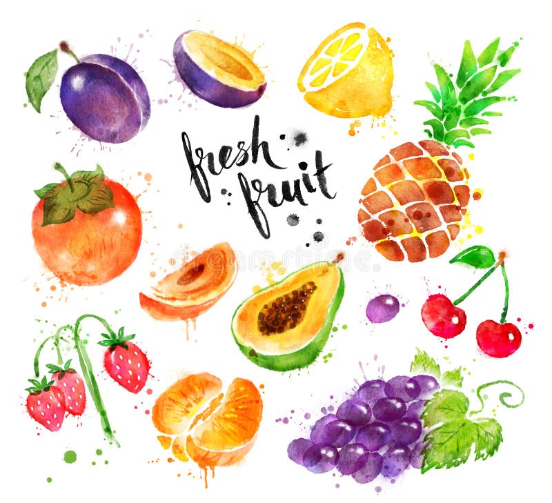 Hand drawn watercolor colorful illustration set of fresh fruit and berries with paint splashes.