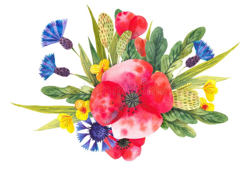 Watercolor composition with different bright wild flowers vector illustration Watercolor composition with different bright wild flowers vector illustration